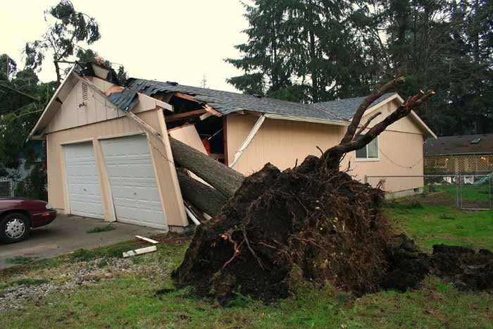 Tornado, Water or Termite Damage - 1